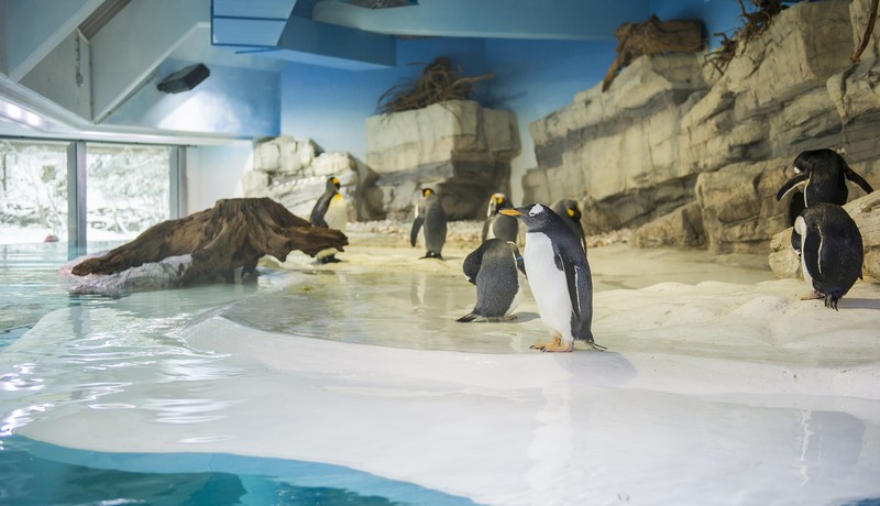 Zu Ostern der Saisonstart im Tierpark Hellabrunn