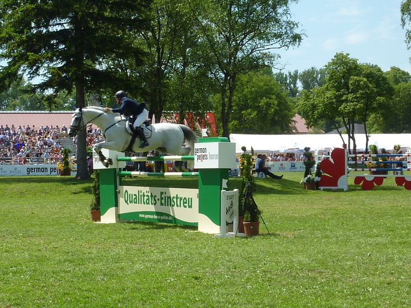 Internationales Festival der Pferde in München			  	 	  		 					  	 	  			  	 	  		 				 					  	 	  		 					  	 	  		 				  	 	  		 					  	 	  		 			