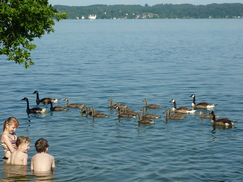 Es ist endlich Sommer in der Stadt