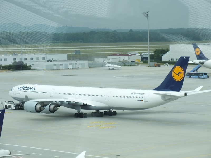 Der Kranich ist seit zehn Jahren fest im Flughafen München etabliert