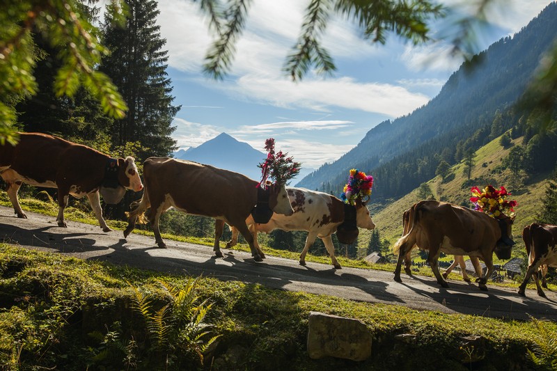 So schön ist das Tessin auch noch im Herbst