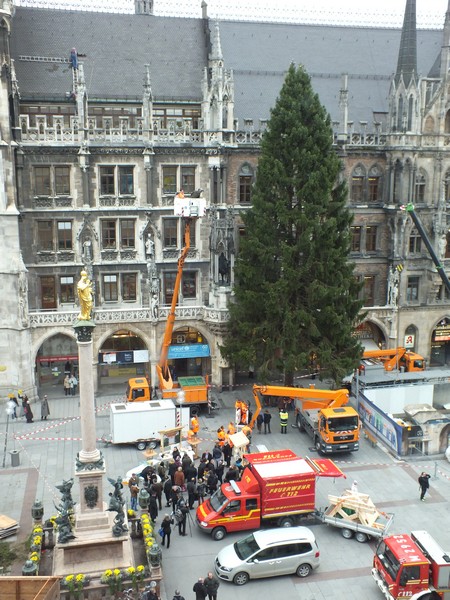 Der einzigartige Christbaum