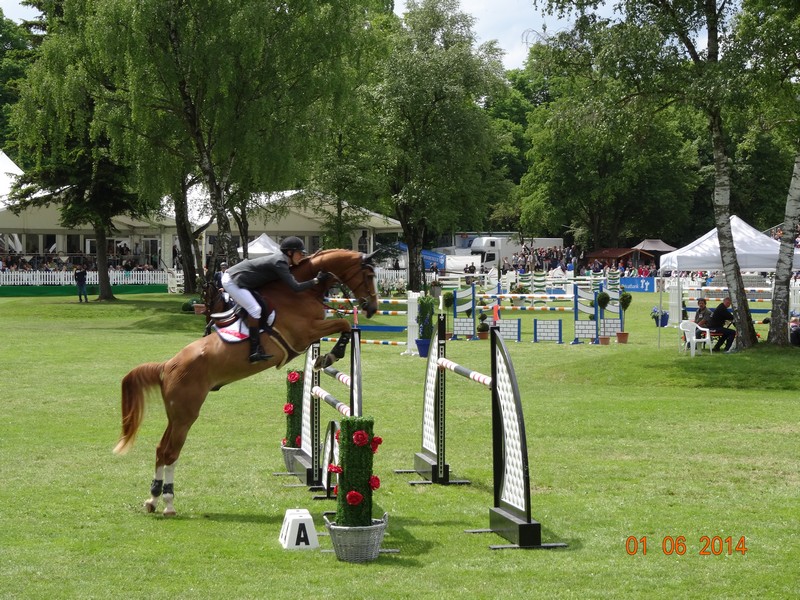 Neuseeländer Goodin gewinnt den Großen Preis auf der Pferd International