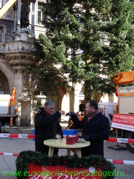 Edel und fein der Weihnachtsbaum am Marienplatz