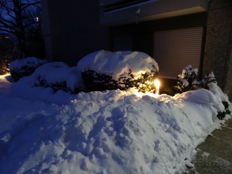 Schneemassen in München zum Jahresanfang