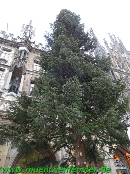 Christbaum Hoffnung in  schweren Zeiten