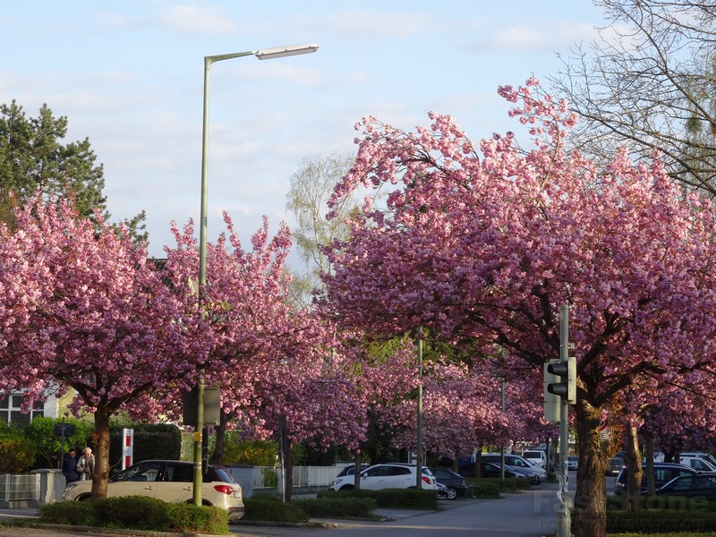 Frühlingsanfang